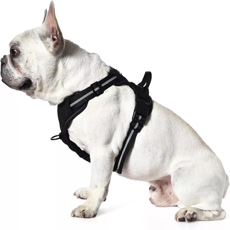 Unbranded No Pull Dog Pet Harness Adjustable Control Vest Dogs