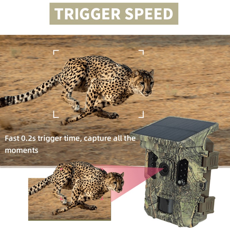 Wildlife Camera Solar Energy Trail Cam 4K with 1080P Night