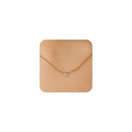 Gold Necklace for Women, Dainty 14k Gold Plated Cubic Zirconia Pendant Necklace Cute Simple Chain Necklaces for Women Trendy Jewelry