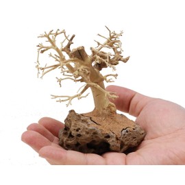 Bonsai Driftwood 3X Mini Aquarium Tree 3BS (3.5 Inch Height) Natural, Handcrafted Fish Tank Decoration | Easy to Install,3.5 inch (Pack of 1)