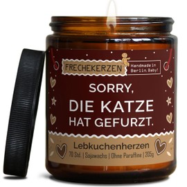 Lustige Duftkerze mit Spruch für Katzen Besitzer & Liebhaber | Handgemacht aus Sojawachs | In Geschenkbox | Nachhaltiges Valentinsgeschenk Gastgeschenk Katzenhalter Cat Lovers |Lebkuchen