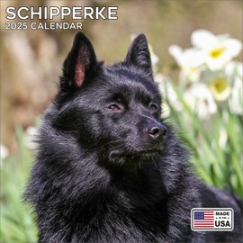 2025 Schipperke Calendar - Dog Breed Wall Calendar - 12 x 24 Open - Thick No-Bleed Paper - 14 Month Planner Calendar Organizing & Planning