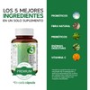 LIFEED Probióticos 50 Billones | Enzimas Digestivas, Fibra Natural, Vitamina