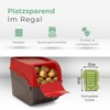 Novaliv Vegetable Box Potato Storage Container 3.5 L to 9