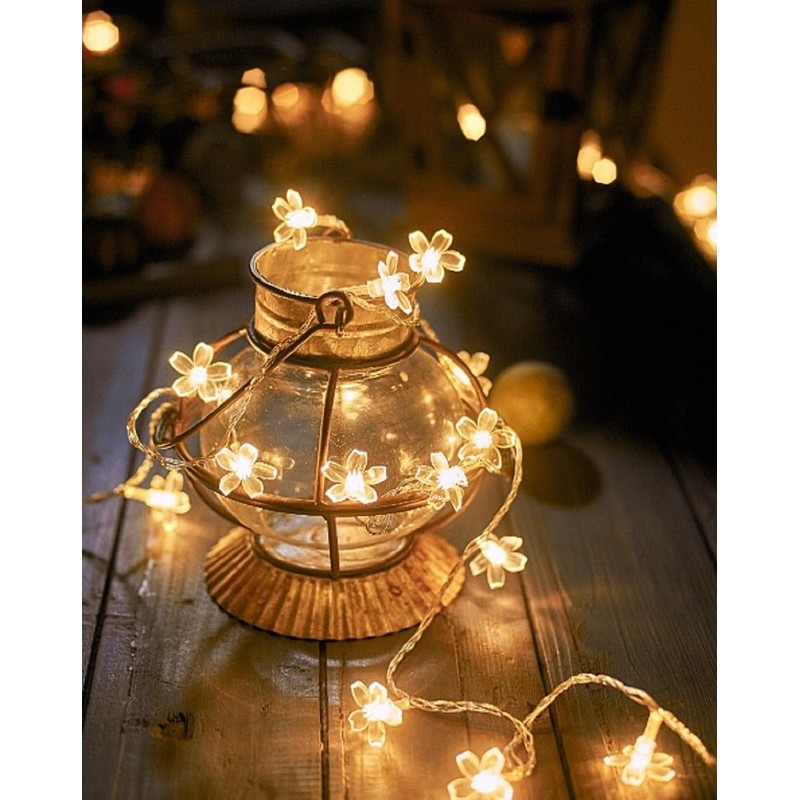 WFGGEH Flower String Lights, 10ft 20 LED USB Powered Cherry