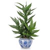 Artificial Potted Plants Indoor Home Decor 20" Tall Fake Lucky