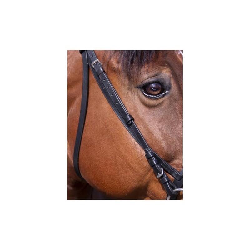 Riding World Bridle Nose Band French Pony Black