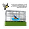 BESPORTBLE Parrot Bird Bath Basin Pet Bath Tub Parrot Bathtub