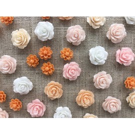 Temoyj Push Pins 24 Pcs,Decorative ThumbTacks for CorkBoard,Feature Wall, Office Organization or Home