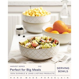 getstar Large Serving Bowls (9.5 inch & 92 fl oz), Ceramic Salad Bowl Set of 2, Microwave and Dishwasher Safe