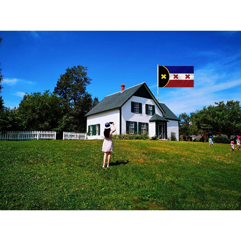 Large Flag, 3X5Ft Banner Decor, Indoor Outdoor Decoration For Yard.Parade