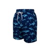 SUNDAY ROSE Boys Swim Trunks Beach Board Shorts Boys Bathing
