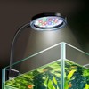 DaToo 6W Aquarium LED Light for 1-5 Gallon Betta Fish