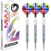 RED DRAGON Miami 24 Gram Professional Tungsten Darts Set with