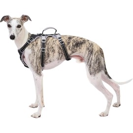 Huntboo Escape Proof Dog Harness, Secure Dog Harness No Escape, Fully Reflective Harness with Handle, Breathable, Durable, Adjustable Vest for Small Dogs Walking, Training & Running Gear(Black,XS)