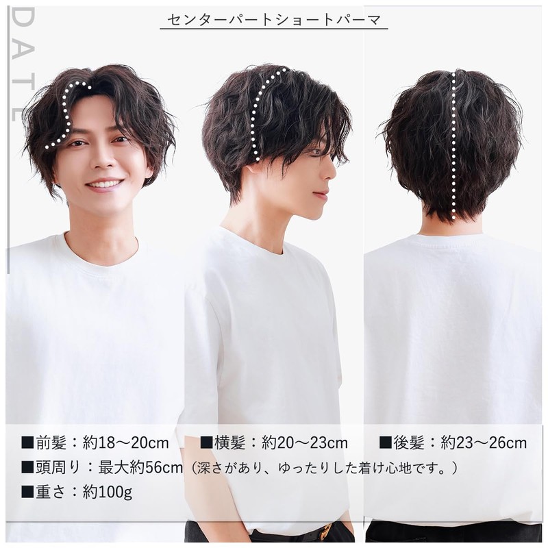 TefuRe MEN-007Nbk Men's Wig, Rough, Casual Style, Perm, Center Part