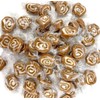 SweetGourmet Coconut Caramel Swirl Rolls | 2 Pounds
