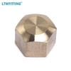 LTWFITTING 1/2-Inch Brass Compression Cap Stop Valve Cap,Brass Compression Fitting(Pack