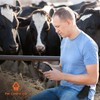 Holster for Pet & Livestock HQ Cattle Prod Livestock -