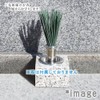 C-SEN Spring Loaded ST Craft SEN-TSUKI-STAINLESS