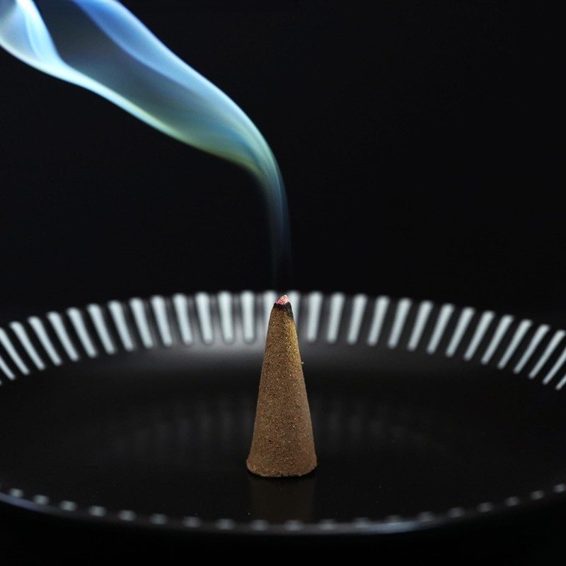 White Sage Purifying Cone Incense, 10 Pack Herb Kobo HCC