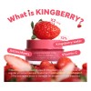 Hince Kingsberry Vita Night Cream 50ml - K Beauty