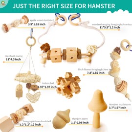 Wepets Hamster Toys, for Hamster, Gerbils, Mice, Rats and Other Small Animals to Chew and Play with (HT001-A)