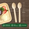 Eco Leaf 100pcs Disposable Wooden Spoons, 16cm, Biodegradable & Compostable