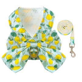 BAEJMJK Dog Harness and Leash Set with Bow Knot No Pull Pet Daisy Floral Harness with D-Ring Soft Mesh Dog Harness Vest Set Escape Proof Princess Puppy Harness for Small Girl Dogs Cats（Green M）