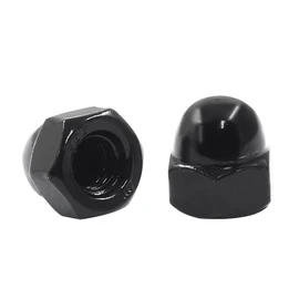 Hordion 1/4-20 Black Acorn Cap Nuts, 304 Stainless Steel Acorn Nut Bright Finish, Pack of 20