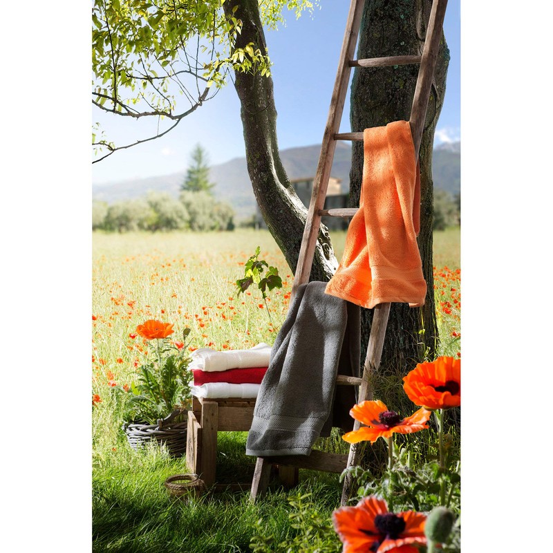 Erwin Müller Friedrichshafen terry towel series