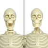Super Articulated 8 Inch Skeleton Action Figure
