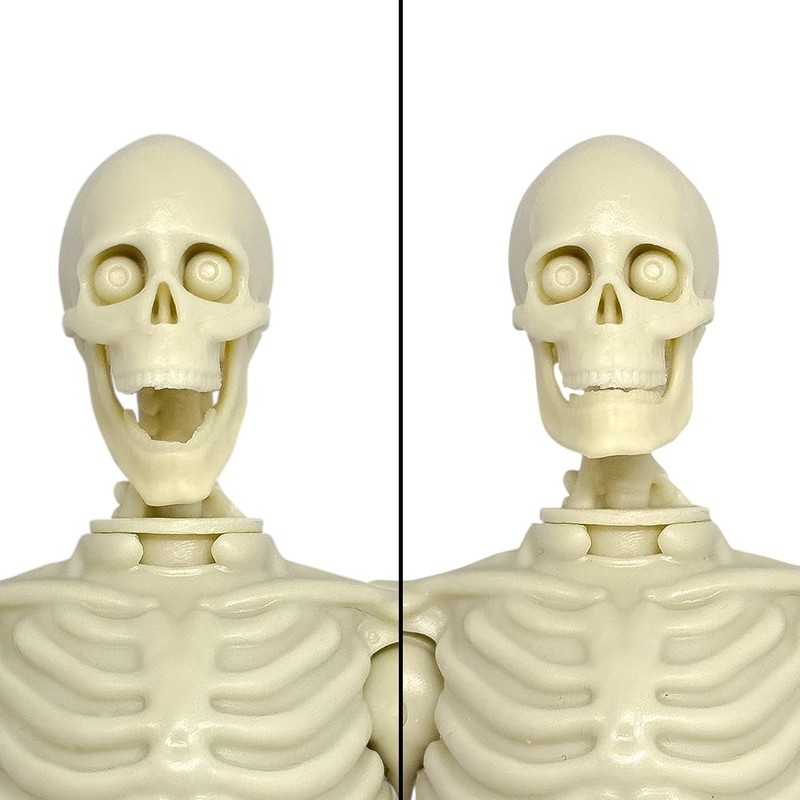 Super Articulated 8 Inch Skeleton Action Figure