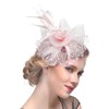 DRESHOW Fascinators Hat Tea Party Headwear Ribbons Feathers on a