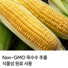 Non GMO Vitamin C Free High Capacity Large Capacity Individually