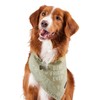 Reddy BFF Dog Bandana Large/X-Large Green