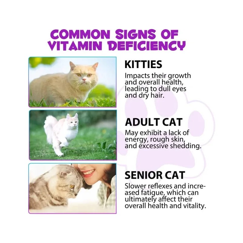 Calmante Immal Para Gatos: Sueño, Ansiedad Y Estrés