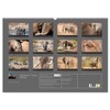 Elephant Grey Giants (Wall Calendar 2026 DIN A2 Landscape), CALVENDO