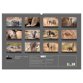 Elephant Grey Giants (Wall Calendar 2026 DIN A2 Landscape), CALVENDO Monthly Calendar: Elephants - Grey Giants from Far Africa (CALVENDO Animals)