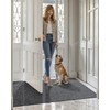 LUMI Indoor Ultra Thin Door Mat, Low Profile Inside Doormat,