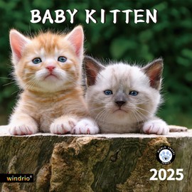 2024 2025 Wall Calendar,Calendar 2025, July 2024 - December 2025, Wall Calendar Cat Kitten, 12" x 24" Opened,Full Page Months Thick & Sturdy Paper for Gift Kids Teen Calendar Organizing & Planning