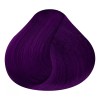 RBL Tinte Para Cabello Rbl Semi Permanente Púrpura 90 G