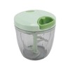 Manual Meat Grinder, Hand Vegetable Chopper with 900ml Container Box,