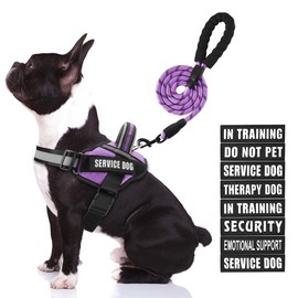 Service Dog Vest Harness and Leash Set, Animire in Training Dog Harness with 10 Dog Patches, Reflective Dog Leash with Soft Padded Handle for Small, Medium, Large, and Extra-Large Dogs (Purple, M)