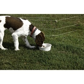 Pet Lodge® Crock Pet Bowl | Heavy Duty Plastic | Dog Feed & Water Bowl | Granite | 6 Cups | Large