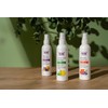 NOW Essential Oils, Take A Zen Ten™ Aroma Mist Featuring