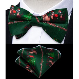 DiBanGu Boys Christmas Bowtie Set Silk Xmas Holiday Pre-tied Bowtie and pocket Square for Kids Festive Bow Tie with Gift Box, Green Christmas Tree