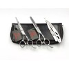 EVOLVING Kit Tijeras Silver 6 Pulgadas Barbero Estilista Evolving