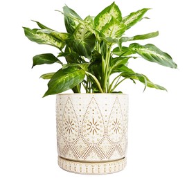 YFFSRJDJ 8 Inch Indoor Plant Pot with Drainage Holes and Saucers, Ceramic Planter for Plants, Succulent Orchid Flower Pots