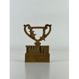 Thank You Gold Mini Cup Star Award - Gift for loved ones, Support, Achievement, You're a Star, Keepsake, Appreciation, Motivation, Friend, Mentor, Teacher Success Affordable Sentimental Gift